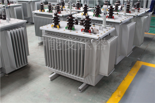 宿州S22-100KVA/10KV/0.4KV变压器